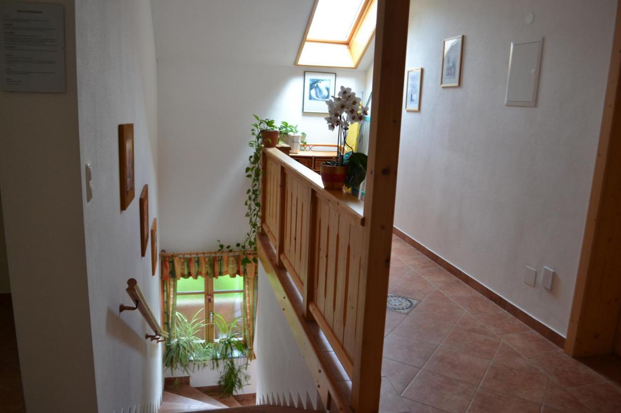 Apartment Zauner