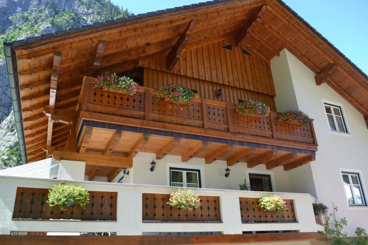 Zauner Hallstatt